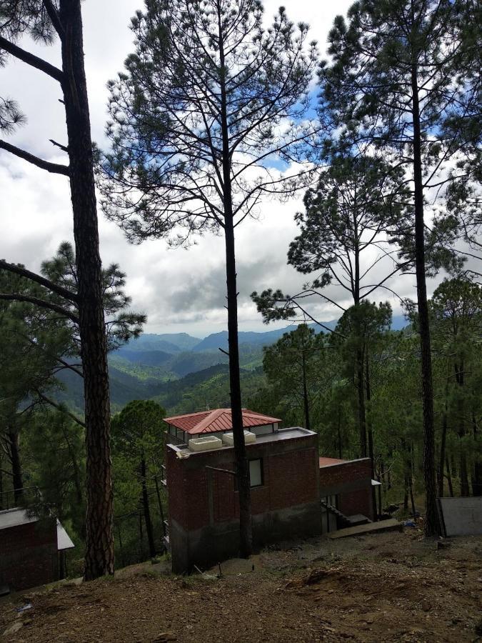 Blusalzz Escapade Resort 兰斯顿 外观 照片
