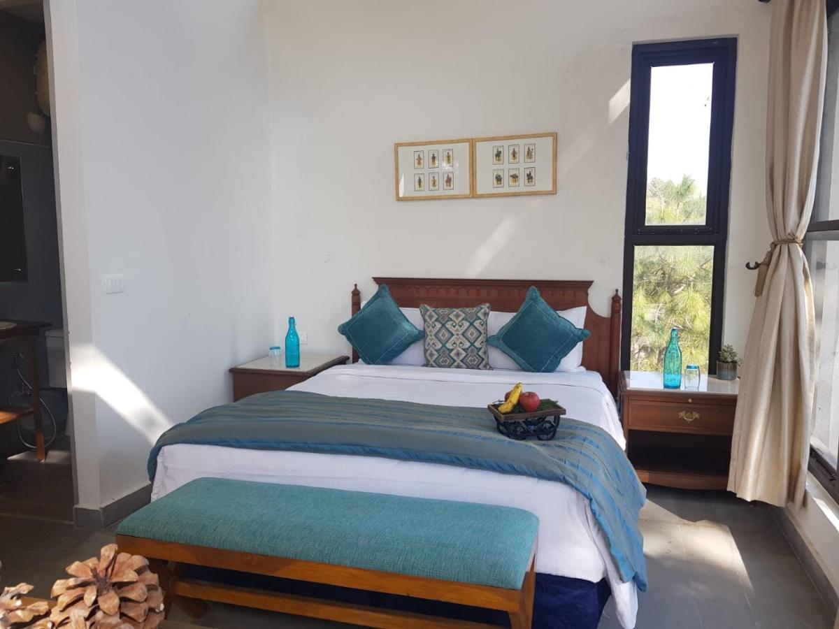 Blusalzz Escapade Resort 兰斯顿 外观 照片