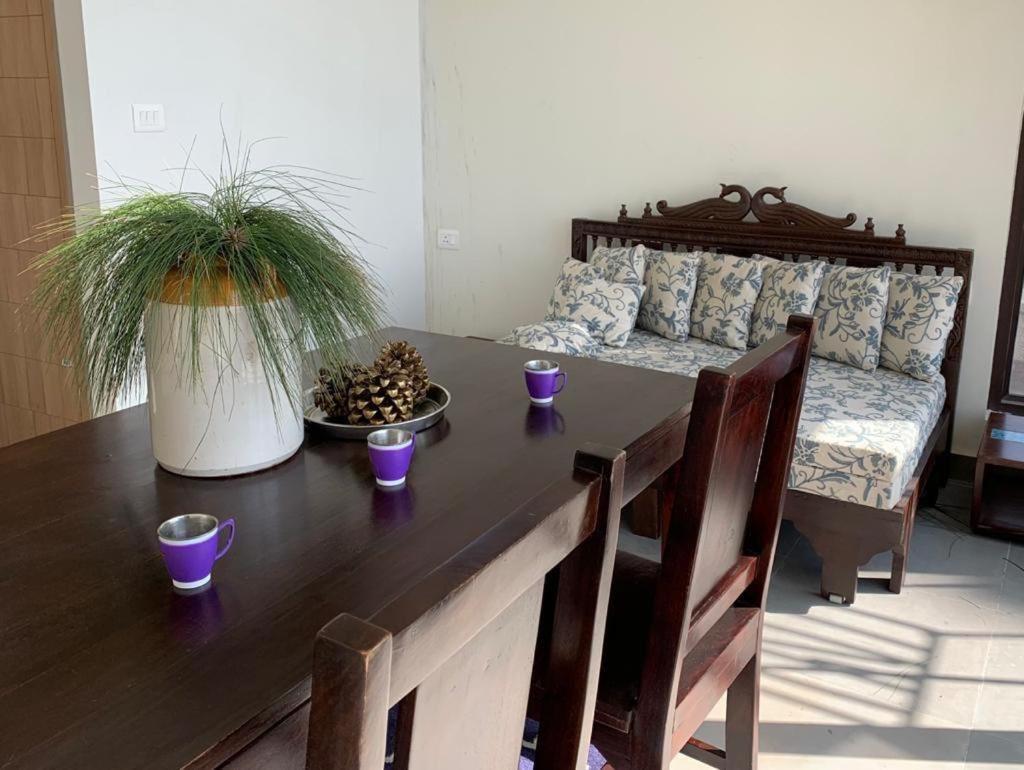 Blusalzz Escapade Resort 兰斯顿 外观 照片