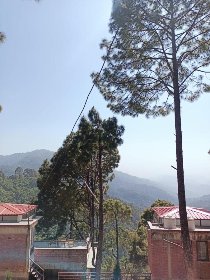 Blusalzz Escapade Resort 兰斯顿 外观 照片